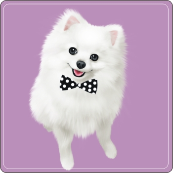 寵物Q版畫 白色博美犬Q版畫 PNP-007